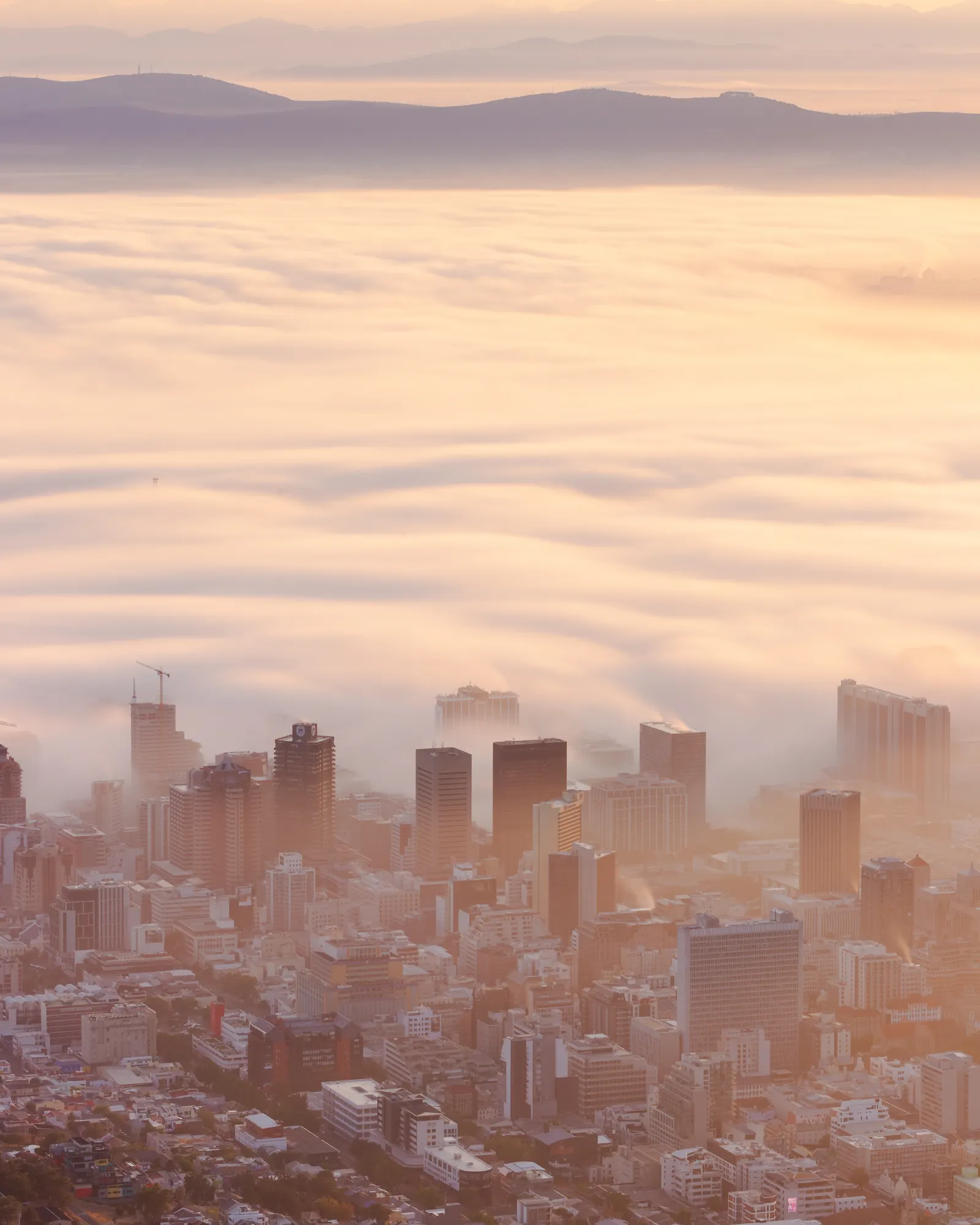 Cape Town city towers emerging from a rolling sea of morning fog, the Hottentots Holland mountains in soft lilac haze behind