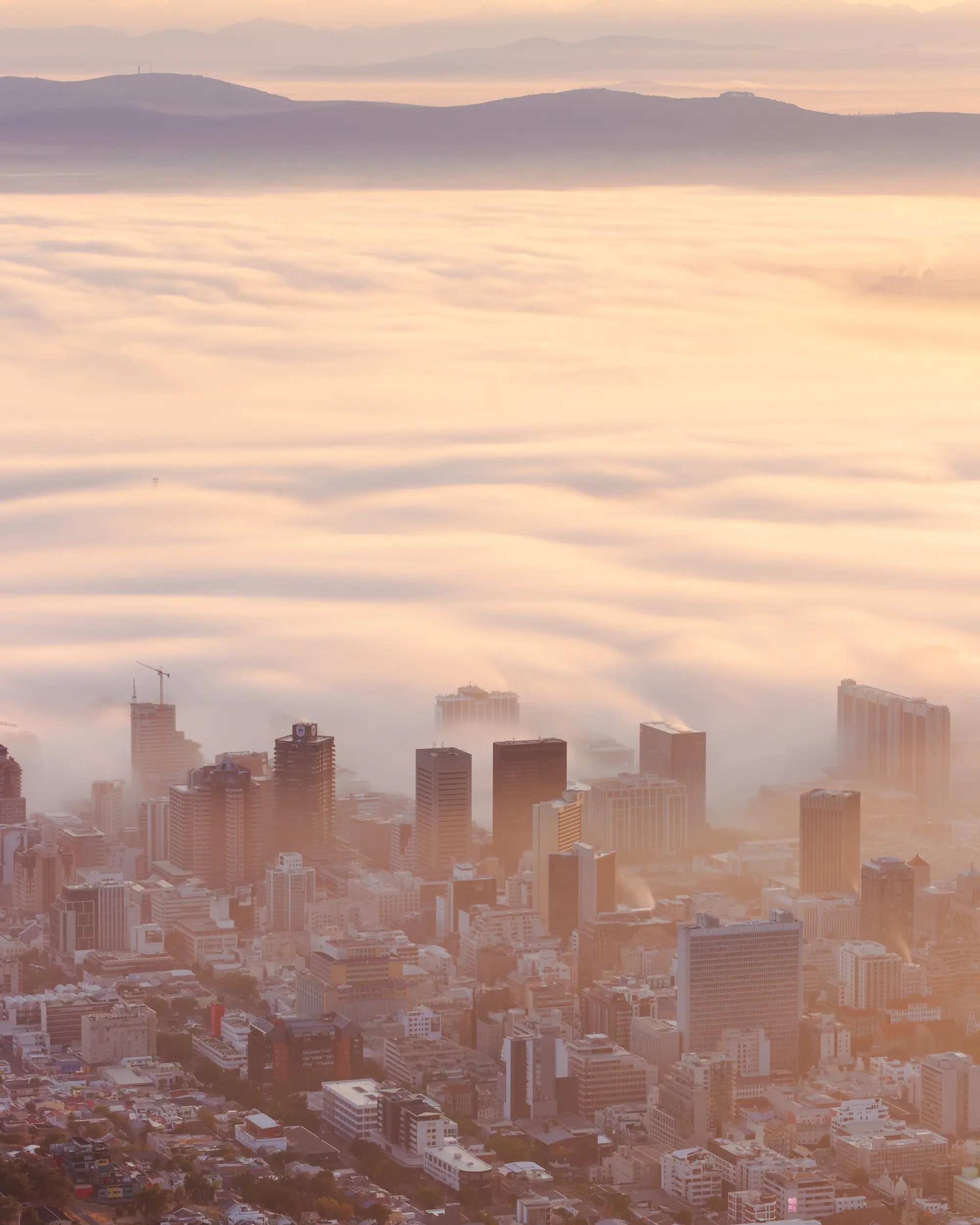 Cape Town city towers emerging from a rolling sea of morning fog, the Hottentots Holland mountains in soft lilac haze behind