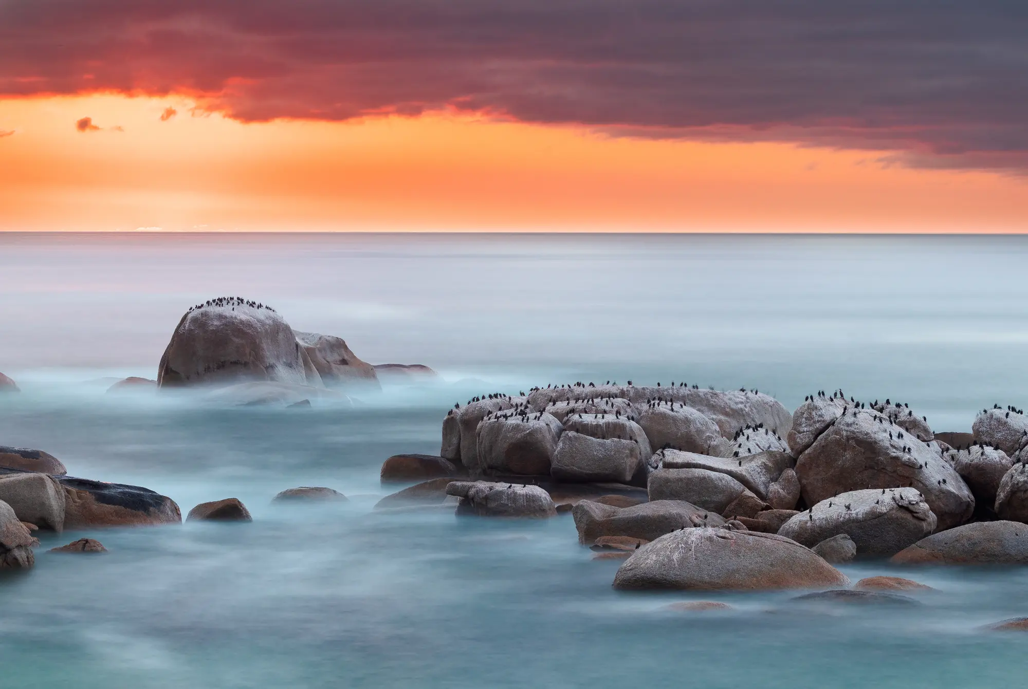 Cormorants gathered on granite boulders at Sea Point, long-exposure sea mist around them and a storm-lit sunset behind